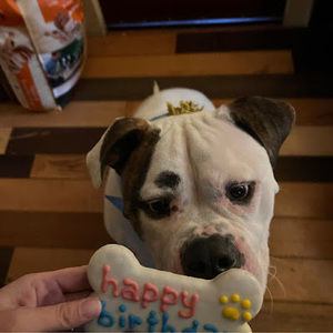 Meet your Posher, Stacy